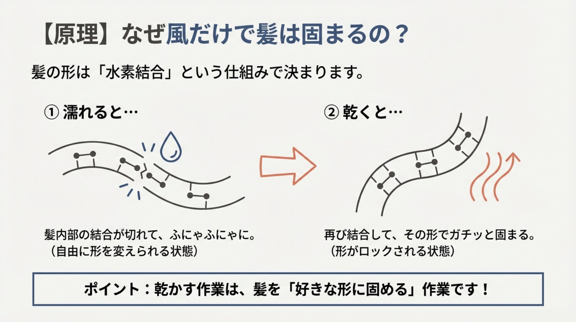 髪の内部結合の仕組みを図解。濡れると結合が切れて形が変わり、乾くと再結合して固まる原理を示している。