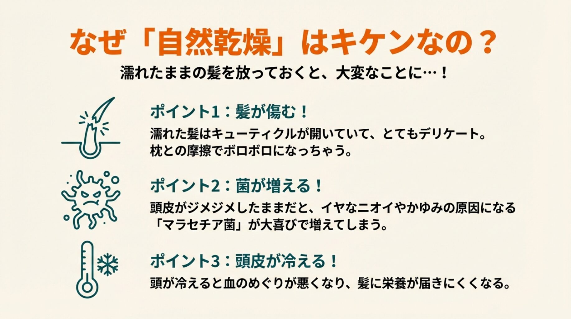 濡れた髪のダメージ、菌の繁殖、頭皮の冷えという3つのリスクを表したアイコン図。