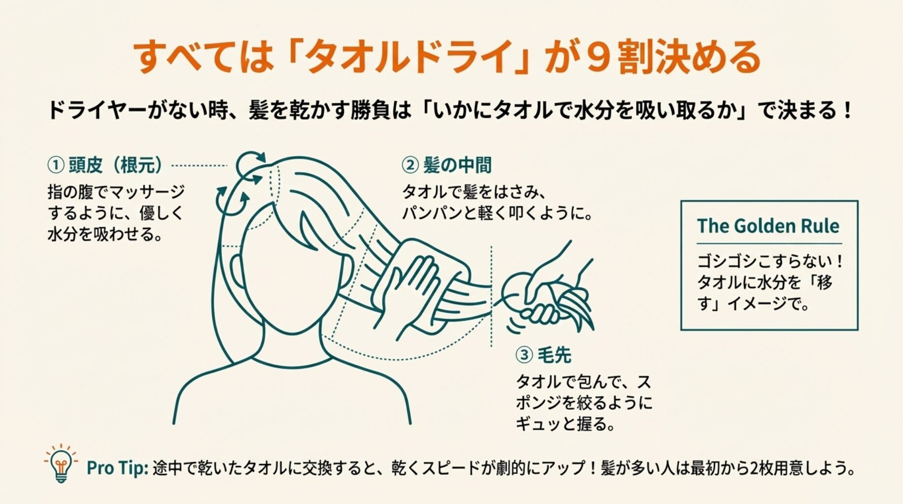 頭皮、髪の中間、毛先の3つのゾーンごとに、タオルでの水分の吸い取り方を解説した図解。