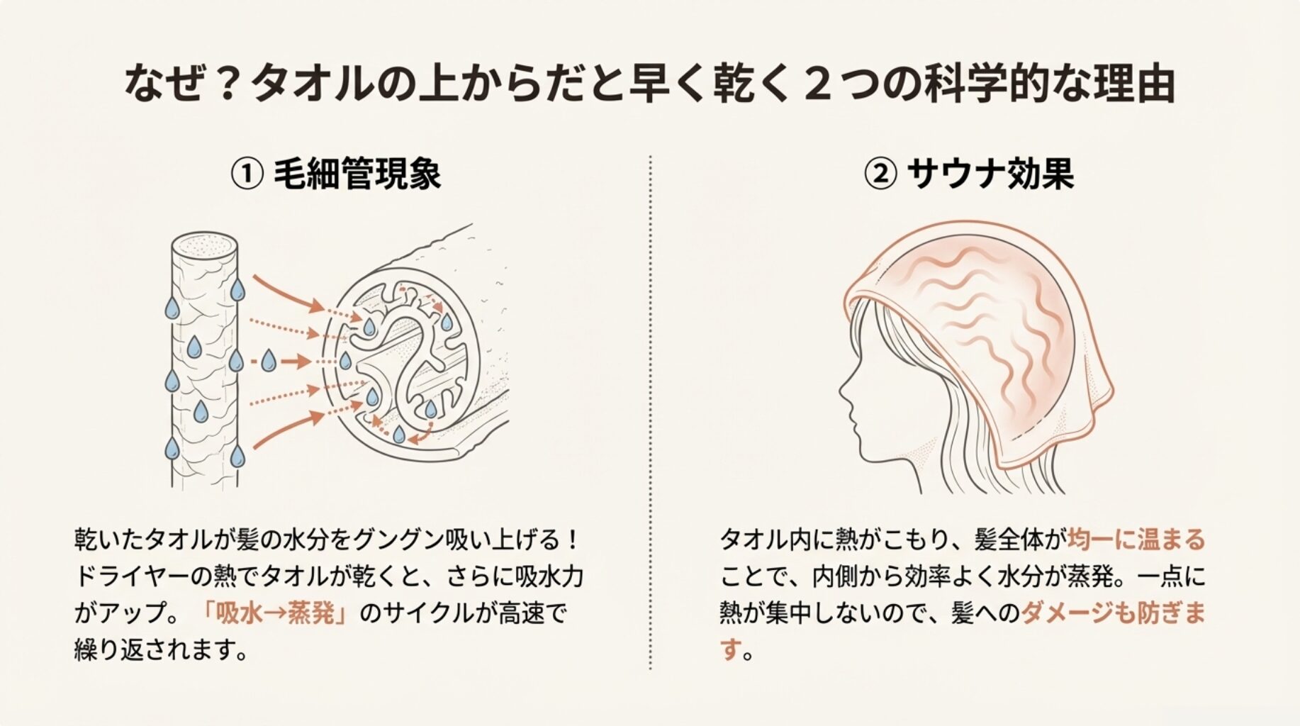 髪の毛細管現象と、タオルを被った頭の断面図。「毛細管現象」と「サウナ効果」のイラスト解説。