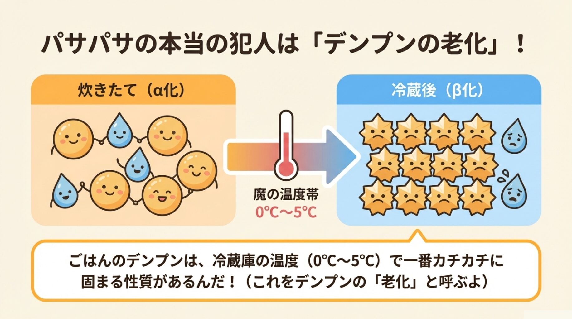 ご飯のデンプンが0度から5度の環境で水分を失い、硬い結晶構造に戻ってしまう「老化」現象を解説した図解。