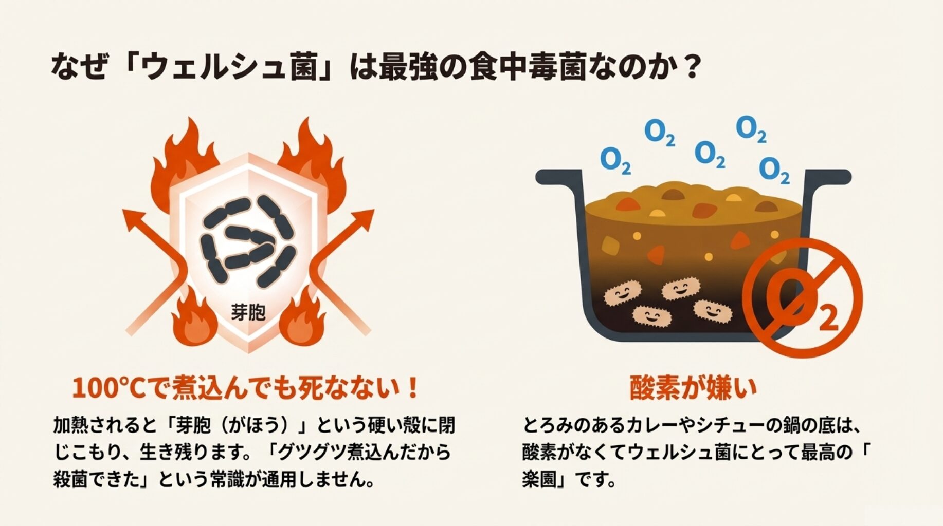 加熱されても「芽胞」という殻に守られて生き残るウェルシュ菌の図と、カレー鍋の底など酸素がない場所で菌が繁殖しやすいことを示すイラスト。