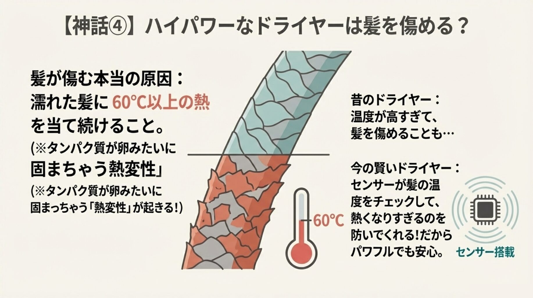 「神話④ ハイパワーなドライヤーは髪を傷める？」への回答スライド。濡れた髪は60℃以上の熱でタンパク変性を起こすため、温度センサー機能が重要であることを、髪の断面図と温度計のイラストで解説。