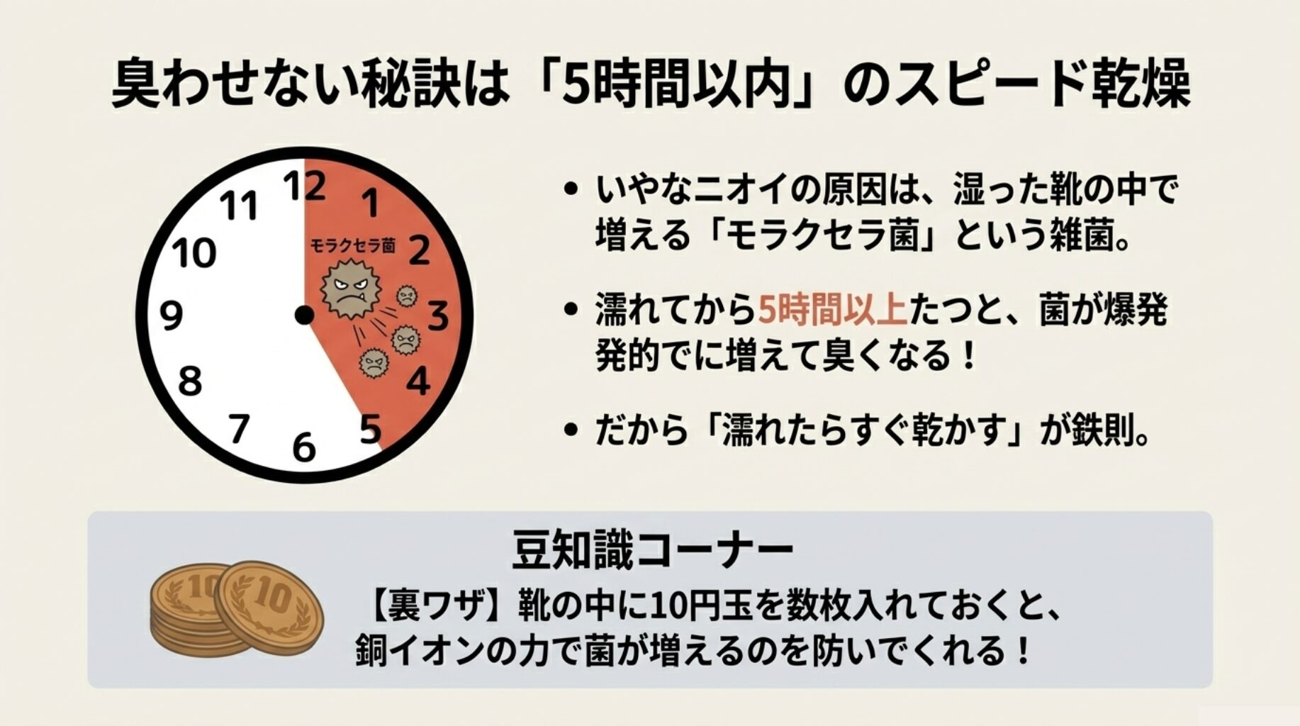時計のイラスト。5時間を過ぎるとモラクセラ菌が爆発的に増えることを示す赤いゾーンの図解。