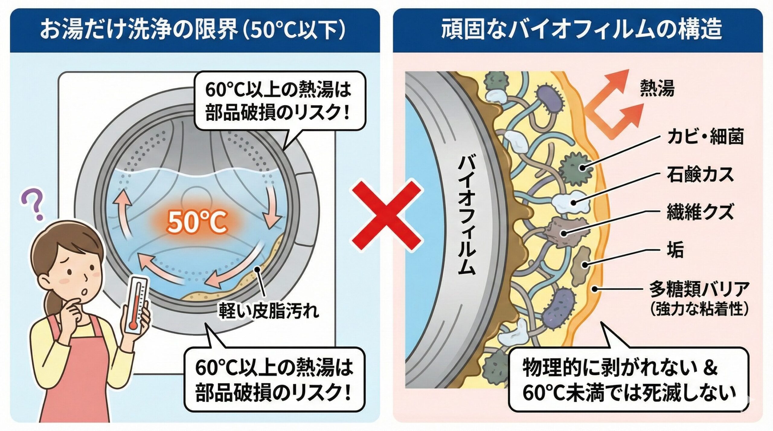 お湯だけでは洗濯槽のバイオフィルムを除去できない理由を説明する図。50℃以下のお湯は表面の汚れしか落とせず、60℃以上の熱湯は部品を破損する。右側は、カビや細菌が多糖類のバリアで守られた強固なバイオフィルムの構造を示し、物理的に剥がれず、60℃未満では死滅しないことを説明している。